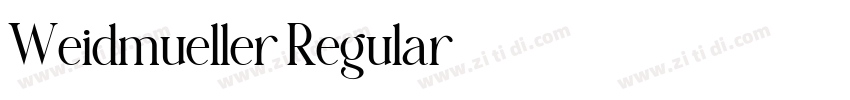 Weidmueller Regular字体转换
